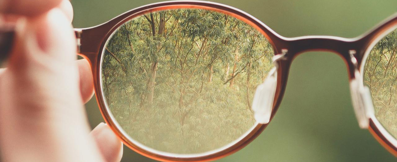 چشم انداز برنامه ریزی و تحلیل‌گری مالی (FP&A)